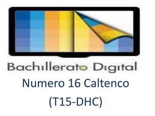 Numero 16 Caltenco
(T15-DHC)
 