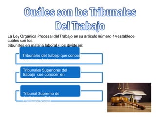La Ley Orgánica Procesal del Trabajo en su artículo número 14 establece
cuáles son los
tribunales en materia laboral y los divide en:
Tribunales del trabajo que conocen
en primera instancia.
Tribunales Superiores del
trabajo que conocen en
segunda instancia
Tribunal Supremo de
Justicia, en Sala de
Casación Social
 