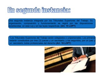 Una segunda instancia integrada por los Tribunales Superiores del Trabajo. Su
organización, composición y funcionamiento se regirá por las disposiciones
establecidas en esta Ley y en las leyes respectivas. (Art. 15 LOPT)
“Los Tribunales Superiores del Trabajo serán colegiados o unipersonales. Los primeros
estarán constituidos por tres (3) jueces y un secretario; y los segundos, por un juez y
un secretario, todos profesionales del derecho (Art. 19 LOPT)
 