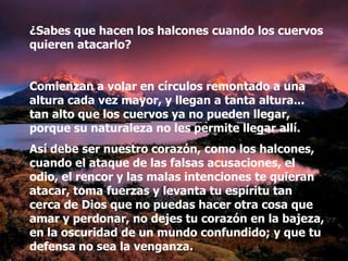 ¿Sabes que hacen los halcones cuando los cuervos
quieren atacarlo?


Comienzan a volar en círculos remontado a una
altura cada vez mayor, y llegan a tanta altura...
tan alto que los cuervos ya no pueden llegar,
porque su naturaleza no les permite llegar allí.
Así debe ser nuestro corazón, como los halcones,
cuando el ataque de las falsas acusaciones, el
odio, el rencor y las malas intenciones te quieran
atacar, toma fuerzas y levanta tu espíritu tan
cerca de Dios que no puedas hacer otra cosa que
amar y perdonar, no dejes tu corazón en la bajeza,
en la oscuridad de un mundo confundido; y que tu
defensa no sea la venganza.
 
