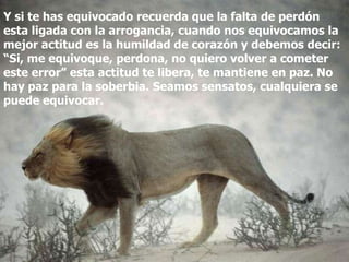 Y si te has equivocado recuerda que la falta de perdón
esta ligada con la arrogancia, cuando nos equivocamos la
mejor actitud es la humildad de corazón y debemos decir:
“Si, me equivoque, perdona, no quiero volver a cometer
este error” esta actitud te libera, te mantiene en paz. No
hay paz para la soberbia. Seamos sensatos, cualquiera se
puede equivocar.
 