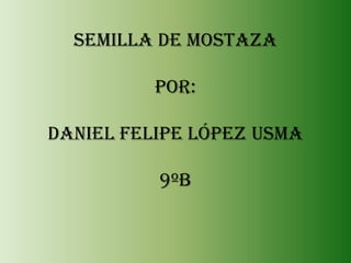 Semilla de mostazapor: Daniel Felipe López Usma9ºB 
