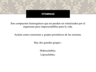 Son compuestos heterogéneos que no pueden ser sintetizados por el
organismo pero imprescindibles para la vida.
Actúan como coenzimas y grupos prostéticos de las enzimas.
Hay dos grandes grupos :
Hidrosolubles.
Liposolubles.
VITAMINAS
 