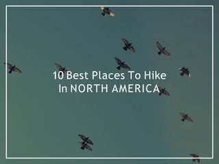 10 Best Places To Hike
In NORTH AMERICA
 