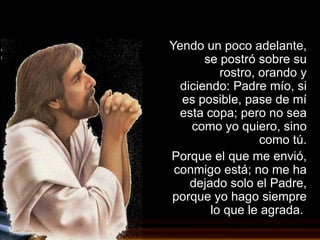 Yendo un poco adelante,
       se postró sobre su
          rostro, orando y
  diciendo: Padre mío, si
  es posible, pase de mí
  esta copa; pero no sea
    como yo quiero, sino
                  como tú.
Porque el que me envió,
 conmigo está; no me ha
    dejado solo el Padre,
porque yo hago siempre
        lo que le agrada.
 