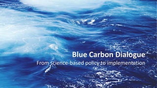 Blue Carbon Dialogue
From science-based policy to implementation
 