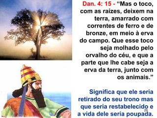 29
Dan. 4: 15 - “Mas o toco,
com as raízes, deixem na
terra, amarrado com
correntes de ferro e de
bronze, em meio à erva
do campo. Que esse toco
seja molhado pelo
orvalho do céu, e que a
parte que lhe cabe seja a
erva da terra, junto com
os animais.”
Significa que ele seria
retirado do seu trono mas
que seria restabelecido e
a vida dele seria poupada.
 