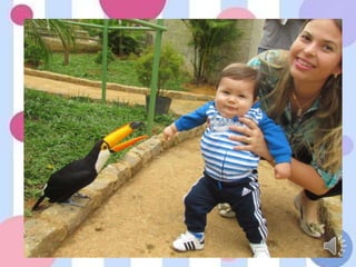 Daniel 2 anos (novo)