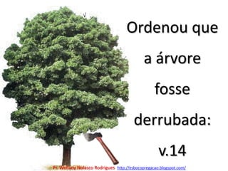 Ordenou que a árvore fosse derrubada: v.14Pr. Welfany NolascoRodrigues  http://esbocopregacao.blogspot.com/