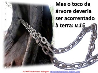 Mas o toco da árvore deveria ser acorrentado à terra: v.15Pr. Welfany NolascoRodrigues  http://esbocopregacao.blogspot.com/