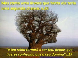 Mas como uma árvore que brota ele teria uma segunda chance: v.26“o teu reino tornará a ser teu, depois que tiveres conhecido que o céu domina”v.17Pr. Welfany NolascoRodrigues  http://esbocopregacao.blogspot.com/