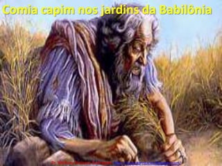 Comia capim nos jardins da BabilôniaPr. Welfany NolascoRodrigues  http://esbocopregacao.blogspot.com/