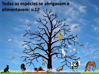 Todas as espécies se abrigavam e alimentavam: v.12Pr. Welfany NolascoRodrigues  http://esbocopregacao.blogspot.com/