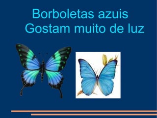 Borboletas azuis Gostam muito de luz 