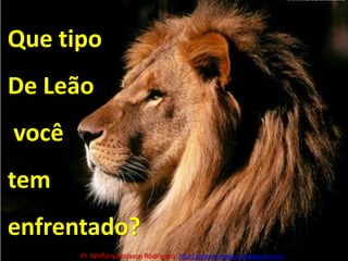 Que tipoDe Leão você tem enfrentado?Pr. Welfany NolascoRodrigues  http://esbocopregacao.blogspot.com/