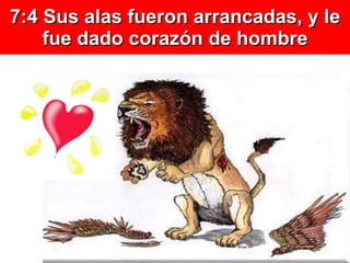7:4  Sus alas fueron arrancadas, y le fue dado corazón de hombre 