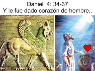 Daniel  4: 34-37 Y le  fue  dado  corazón  de hombre.. 