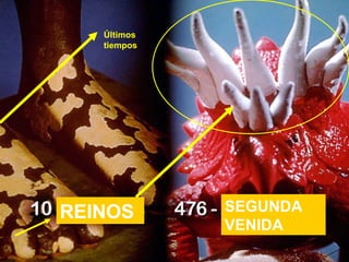 REINOS SEGUNDA VENIDA Últimos tiempos 