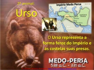 2º animal:UrsoImpério Medo PersaRei DarioO Urso representa a forma feroz do Império e as costelas suas presas.Pr. Welfany NolascoRodrigues  http://esbocopregacao.blogspot.com/