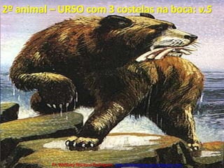 2º animal – URSO com 3 costelas na boca: v.5Pr. Welfany NolascoRodrigues  http://esbocopregacao.blogspot.com/