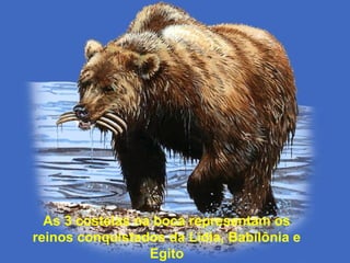 As 3 costelas na boca representam os
reinos conquistados da Lídia, Babilônia e
Egito
 