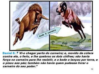 “
bode X carneiro
10
 