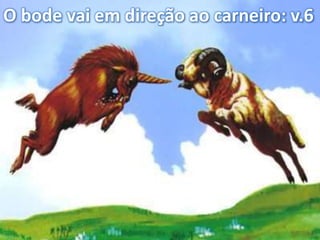 O bode vai em direção ao carneiro: v.6
 