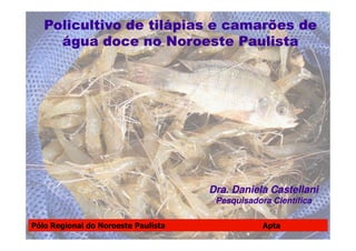 Dra. Daniela Castellani
 Pesquisadora Científica
 