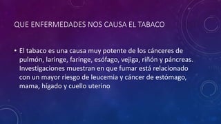 QUE ENFERMEDADES NOS CAUSA EL TABACO
• El tabaco es una causa muy potente de los cánceres de
pulmón, laringe, faringe, esófago, vejiga, riñón y páncreas.
Investigaciones muestran en que fumar está relacionado
con un mayor riesgo de leucemia y cáncer de estómago,
mama, hígado y cuello uterino
 