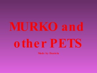 MURKO and  other PETS Made by Daniela 