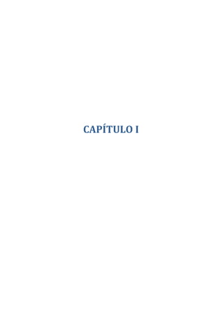 CAPÍTULO I
 