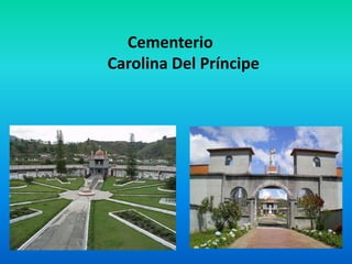 Cementerio
Carolina Del Príncipe
 