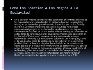 Como Los Sometían A Los Negros A La
Esclavitud
 En la posición más baja de la sociedad colonial se encontraba el grupo de
los negros africanos, introducidos en esclavitud para el trabajo de las
minas, en las haciendas, para el servicio doméstico y el tráfico fluvial y
marítimo. Con frecuencia en la época colonial, hubo numerosos
alzamientos de negros en las haciendas y en las minas. Los negros
cimarrones se fugaban de las haciendas o de las minas y se convertían en
salteadores de caminos. Algunos grupos de cimarrones se agruparon en
los llamados "Palenques", los cuales se ampararon en la selva par
defender su libertad y sus instituciones culturales. Los Palenques, como
el de San Basilio, cerca de Cartagena, se convirtieron en los primeros
pueblos libres de América Hispana. Entre los héroes de la resistencia
negra esclava en el Nuevo Reino de Granada, se destacó en Cartagena el
negro Domingo Bohío, ex monarca de una tribu africana; igualmente el
rey Benkos; quien estremeció la tranquilidad de Cartagena,Tolú y
Mompós; a éste le correspondió la fundación del Palenque de San
Basilio, cuyos habitantes ayudaron a abrir el camino haciaTolú.
 