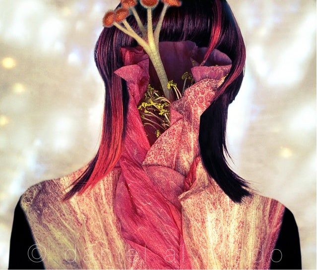 Daniel alvarado n_bloom 