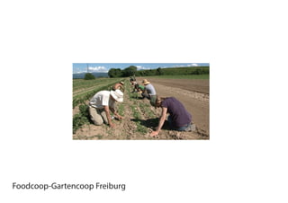 Foodcoop-Gartencoop Freiburg
