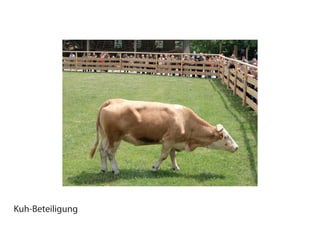 Kuh-Beteiligung