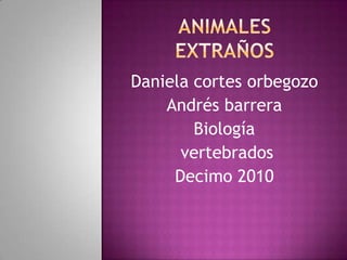 Animales extraños Daniela cortes orbegozo Andrés barrera Biología  vertebrados Decimo 2010 