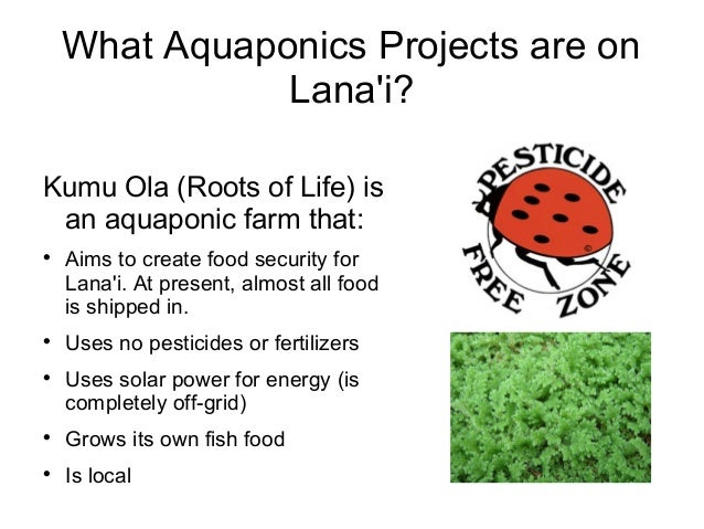 aquaponics: sustainable agriculture