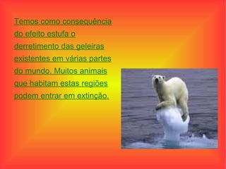 Temos como consequência do efeito estufa o derretimento das geleiras existentes em várias partes do mundo. Muitos animais que habitam estas regiões podem entrar em extinção. 