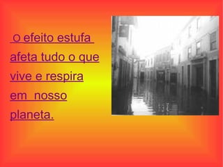 O  efeito estufa  afeta tudo o que vive e respira em  nosso planeta.   