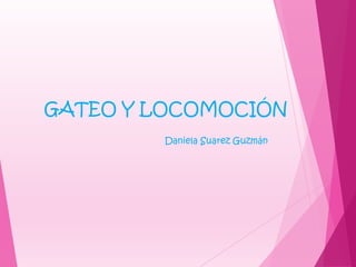 GATEO Y LOCOMOCIÓN
Daniela Suarez Guzmán
 
