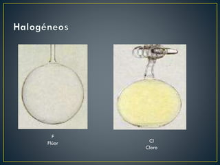 F
Flúor

Cl
Cloro

 