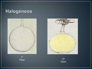 F
Flúor

Cl
Cloro

 