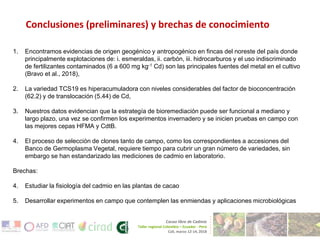 Investigaciones sobre Cadmio en el Cacao Colombiano