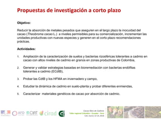 Investigaciones sobre Cadmio en el Cacao Colombiano