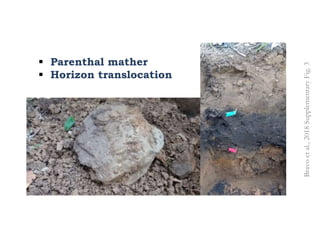 Investigaciones sobre Cadmio en el Cacao Colombiano