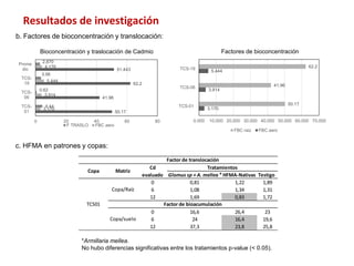 Investigaciones sobre Cadmio en el Cacao Colombiano