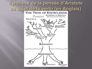 Synthèse de la pensée d’Aristote au sujet de la vertu (en Anglais)