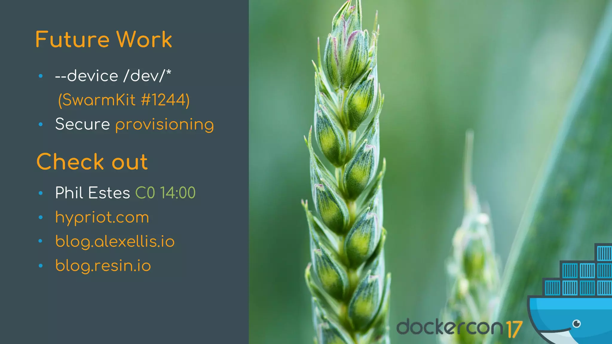 • --device /dev/*
(SwarmKit #1244)
• Secure provisioning
Future Work
Check out
• Phil Estes C0 14:00
• hypriot.com
• blog.alexellis.io
• blog.resin.io
 