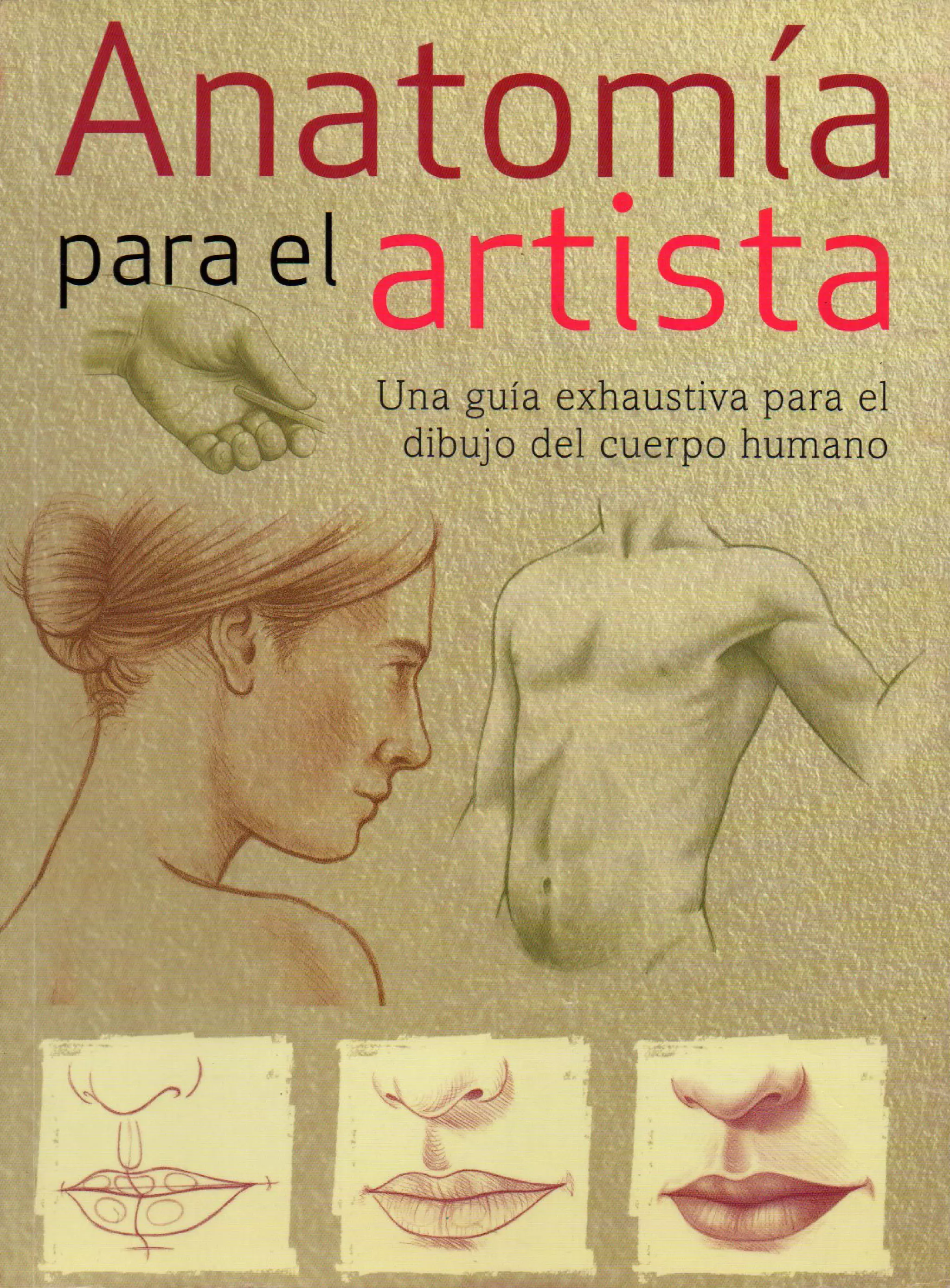 (Daniel carter) anatomia para el artista